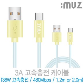 아이뮤즈 고속충전 케이블 A to C 36W 480Mbps, 1.2m, 1개