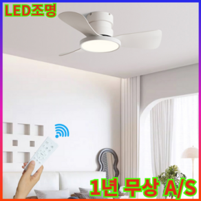 플러스킬 무소음 LED 조명 실링팬 1년무상A/S, 36인치(91cm), 올화이트(LED포함)