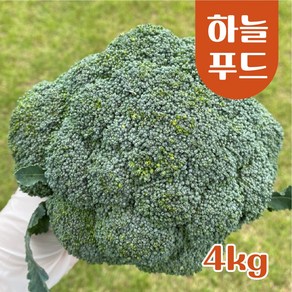 (1kg 2kg 3kg 4kg/Box) 수입 브로콜리 브로컬리 식자재, 4kg, 1개