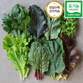 맛군 [산지 직송] 수확 친환경 유기농 쌈채소, 쌈채소 1kg, 1박스