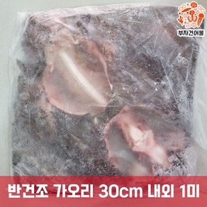 삼천포 국내산 남해안 말린 제수용 특대 가오리찜 손질 반건조 가오리 30cm 내외 1미, 1세트, 1마리