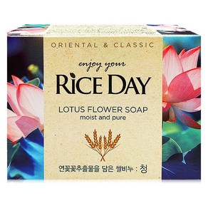 라이스데이 비누 청 100g x 10