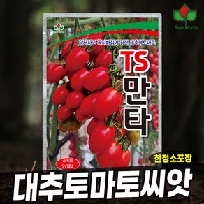 [씨드코리아] 토마토 씨앗 TS만타 대추 방울토마토씨앗 종자 영리재배용 빌모린미카도, 1개