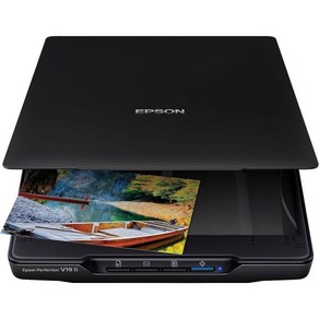 Epson Pefect V19 II 컬러 사진 및 문서 플랫베드 스캐너(4800dpi 광학 해상도 USB 전원 고층 탈착식 뚜껑), Pefection V19 II