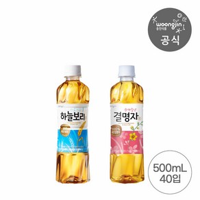 웅진식품 베스트 차음료 묶음 하늘보리 500mL 20개+결명자차 500mL 20개