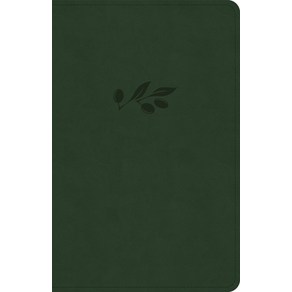 (영문도서) NASB Pesonal Size Bible Olive Leathetouch Imitation Leathe, Holman Bibles, English, 9781430094814