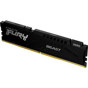 Kingston 킹스턴 테크놀로지 퓨리 비스트 블랙 64GB 4800MTs DDR5 CL38 XMP 3.0 Ready Compute Memoy Kit of 2 KF548C38B, Black_6000MT/s  Black  6000M, 2개