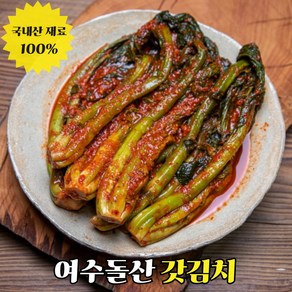 [도도한식탁] 감칠맛의 끝판왕 국내산 여수 돌산 갓김치 전라도 김치, 1박스, 5kg