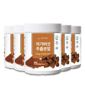 차가버섯추출분말 200g HACCP 인증제품, 5개