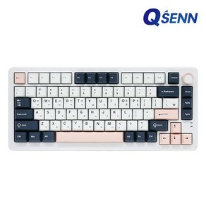 QSENN Q75 PBT 풀윤활 가스켓 유무선 기계식 키보드 화이트, 애플민트축