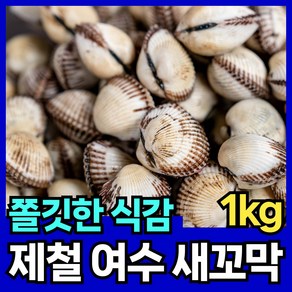 핏시드 제철 새꼬막 여수 벌교 꼬막, 1개, 대(1kg 65-75미)