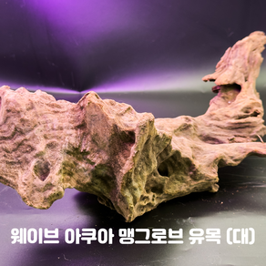 아쿠아마켓 맹그로브 유목 (대), 1개