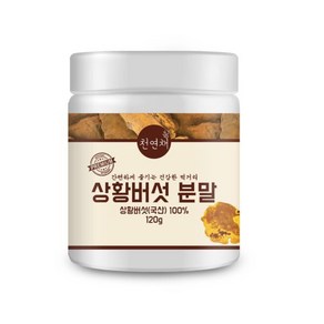 천연채 상황버섯 분말 가루 120g x 3통 360g, 3개