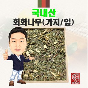 국내산 회화나무(가지/잎) 300g (경북 영천) 국산, 1개