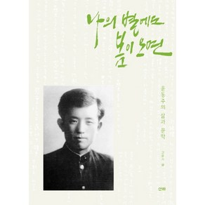 나의 별에도 봄이 오면:윤동주의 삶과 문학, 산하, 고운기