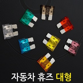 자동차 휴즈(대형 10개)/차량용 DIY 튜닝 퓨즈 배선 접지용품 연결 커넥터, 40A, 10개