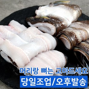 [홍이네수산][당일손질] 통영 손질 바다장어 구이 아나고 1kg 2kg 3kg 특대 2-3인용 구이용 탕용(손질후750g 내외)