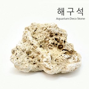 해구석 [랜덤 1kg], 1개