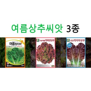 여름상추씨앗 3종 세트 6월 고온기 채소씨앗 파종 종자, 1개