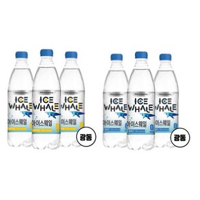 광동 아이스웨일 탄산수 플레인+레몬라임 500ml x 40펫, 40개