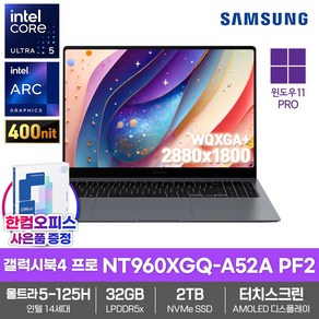 삼성 노트북 갤럭시북4 프로 NT960XGQ-A52A PF2 SSD2TB/32GB램/울트라5-125H/AMOLED/터치스크린/120Hz, WIN11 Po, 32GB, 2TB, 문스톤 그레이