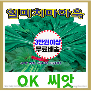 [OK씨앗] [일미치마아욱] 아욱씨앗 종자(오케이씨앗), 1개