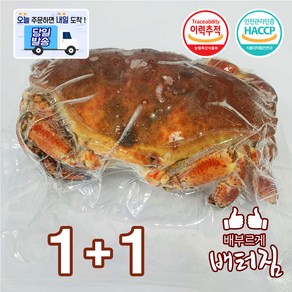 (배터짐) 자숙 브라운크랩 알크랩 꽃게, 2개, 500g