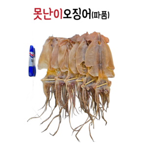 동해바다 구룡포 덕장에서 건조한 마른오징어 10마리 못난이오징어(파품), 1개, 못난이 500g