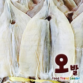 오발 국내산 마른오징어600g 10마리(진공패키지), 2개, 600g