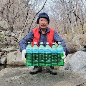 토박이 하동 지리산 고로쇠 수액, 4개, 1.5L