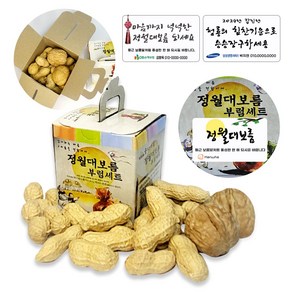 정월대보름 부럼 케이스 피땅콩70g + 호두2알 견과류, 1세트, 땅콩70g+호두2알