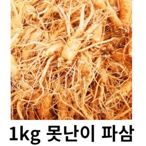 못난이 인삼 5년근 1kg 파지 인삼 홍삼용 인삼파삼1kg 금산인삼파삼1kg 수삼파삼 못난이인삼1kg