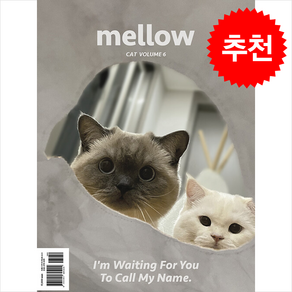 Mellow Cat Volume 6 (멜로우매거진) + 쁘띠수첩 증정, 펫앤스토리, 편집부