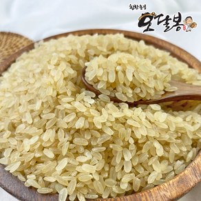 힘찬농부오달봉 국산 찹쌀찐쌀 올벼쌀 올기쌀 찐쌀, 1kg, 1개