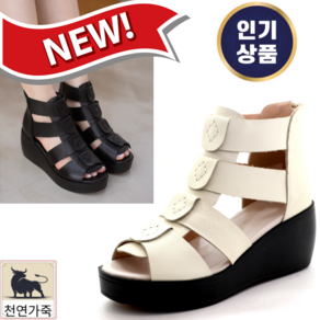 신알지[여름펀칭 앵클부츠]여자 7CM 300g 가벼운 발편한 여름부츠 뒷지퍼 착용감좋은 생우레탄고무창 쿠션좋은 발바닥편한 멋쟁이부츠 신기편한 지퍼 여름패션부츠 중년강추