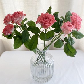 오후의꽃 페어플로우 페어플 장미 꽃다발 생화 택배, 페어플 장미 한다발 유칼립투스 추가, 1개