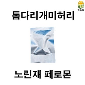 톱다리개미허리 노린재 페로몬 유인제, 10개입, 10개