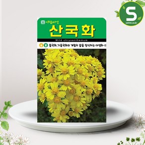 솔림텃밭몰 산국화씨앗 10000립 산국화 꽃씨앗 꽃씨 야생화