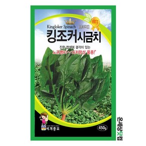 킹조커시금치 450g / 시금치씨앗 시금치씨 여름시금치, 1개