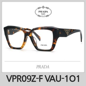 VPR09ZF VAU-1O1 프라다 안경테 VPR09Z-F