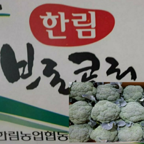 알뜰 농장 국내산 햇 브로콜리 최상품 1kg/4kg내외, 1개, 국내산 브로콜리 1kg 내외, 1kg