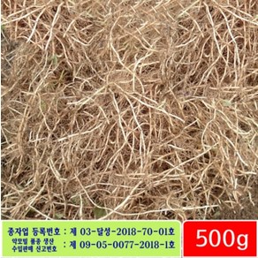 어성초생뿌리 500g - 잘키운 국산 어성초종자