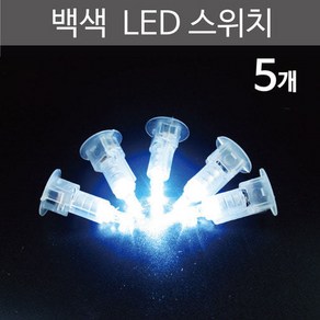 백색 LED스위치 (5개) RTS