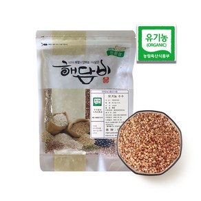 국내산 유기농수수 500g (2024년산), 1개