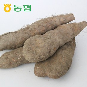 북안동농협 국산 안동 산마(특) 3kg/5kg