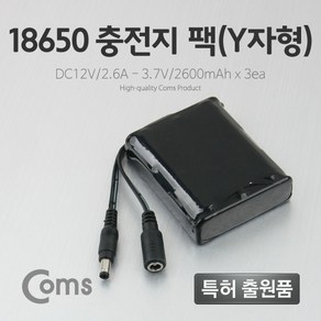 충전지팩 (Y자형) 18650 12V DC12V/2.6Ah LC3095, 1개