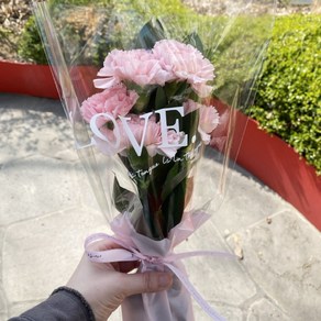오후의 꽃 심플 카네이션 꽃다발 카네이션 5송이 어버이날 스승의날 선물 꽃배달 싼곳 꽃시장 생화 택배, 심플 카네이션 꽃다발(5송이) 랜덤 색상, 1개