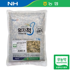 전남 해남 23년산 국산 농협 무농약 깐녹두 1kg 녹두밥, 1개