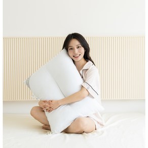플랫화이트 프리미엄 방수 알러지케어 목 편한 경추베개, 2개, 화이트