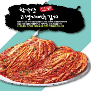 안동학가산 고랭지 포기김치 10kg, 1개